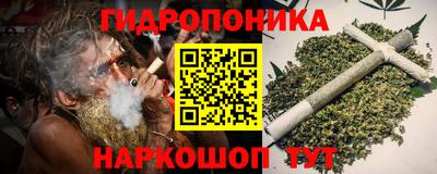 стафф Гусев