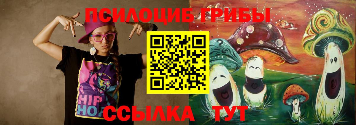 Псилоцибиновые грибы Psilocybe  Вход с VPN  Орёл 